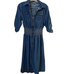 Elegant Blue Denim Long Sleeve Dress
